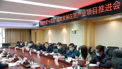 華潤水泥“十四五”戰(zhàn)略發(fā)展在賀產(chǎn)業(yè)項目推進(jìn)會圓滿舉行，賀州政企合力共繪發(fā)展藍(lán)圖